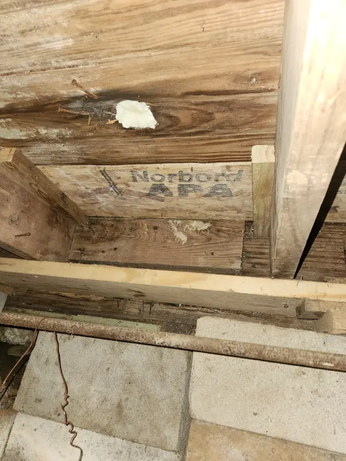 Home Improvement